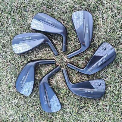  Vermilion Bird Golf Iron Club Heads, Forged Feel Professional Iron Heads, Full Set Upgrade Club Heads, Precise Control