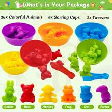 Color Sorting & Stacking Counting Toy Set With Bowl, Preschool Learning Activity, Montessori Sensory STEM Toys, Daycare Supplies, Gift For Toddlers Boys Girls, Random Color & Accessories - Multicolor - View 4