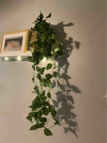 1/6/12/24 件装人造绿色常春藤吊兰，仿真常春藤叶墙面藤蔓，适用于室内/室外家居、房间、花园、婚礼花环装饰 - 綠蘿 - 查看 5