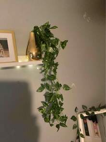 1/6/12/24 件装人造绿色常春藤吊兰，仿真常春藤叶墙面藤蔓，适用于室内/室外家居、房间、花园、婚礼花环装饰 - 綠蘿 - 查看 6