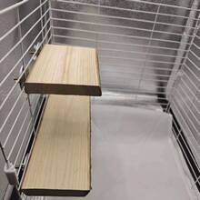 Parrot Natural Wood Perch Toy Stand, Peony Phoenix Swing Bridge Bird Cage Decor Climbing Pole Accessories - Multicolor - View 5