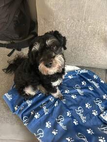 Chăn in tên chó/mèo cá nhân hóa 1 chiếc, Chăn in dấu chân tùy chỉnh, Chăn in tên cho chó nhỏ, Quà tặng thú cưng vui nhộn, Quà tặng cho người yêu chó, Quà tặng cá nhân hóa, Quà tặng thú cưng, Quà tặng cho người yêu chó. - Xem 5