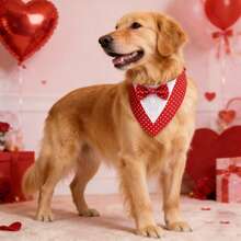 Valentine Dog Tuxedo Bandana, Red Heart Pet Tux With Bowtie, Adjustable Valentine's Day Costume For Extra Small Medium Large Dogs Cats - Multicolor - View 4