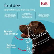 Company of Animals - Collar para la cabeza The Halti negro - Negro - Ver 2