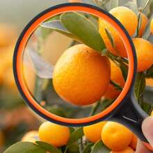 新款液态硅胶手持式儿童阅读放大镜，光学玻璃镜片，橡胶防摔户外扩展