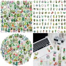 Cactus Nopales Plantas Cute Aesthetic 50 Calcomanías Stickers Vs Agua Stickers Variados Sin Repetir Impermeables Removible Diseños Únicos Para Electrónicos, Laptops, Termos, Celulares(default) - Multicolor - Ver 1