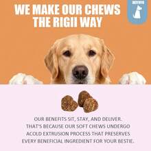 Dog Multivitamin, Chewable Dog Vitamins And Supplements For Hip & Joints, Skin & Coat, Omega 3 Fish Oil For Dogs- Senior & Puppy Multivitamin-Fish Flavor- 120ct - 橘色 - 查看 5