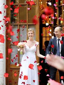 1000pcs Bedroom Rose Petals - Artificial Rose Petals, Suitable For Proposal, Valentine's Day, Anniversary, Wedding And Other Romantic Party Decorations - Multicolor - View 6