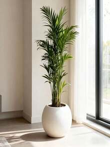 1/2pcs Simple Elegant White Spherical Weatherproof Plastic Planter - For Indoor/Outdoor Use, Suitable For Artificial Plants, Succulents, Ferns, Ideal For Home Decor, Office Placement, Suitable For Snake Plant, Pothos, Ferns - Multicolor - View 3