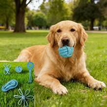 5pcs/Set Pet Rope Knot Toys Set: Chew Resistant, Teeth Cleaning + Assorted Styles, Easy Interactive Play - Multicolor - View 1