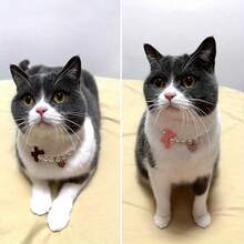 1 Piece Dog Cat Pearl Collar, Heart Pendant Pet Necklace Cute Girl Dog Collar With Bow Adjustable Wedding Pet Jewelry Accessories, Suitable For Small Dogs And Cats - Pink - View 7