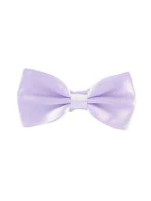 1条男士涤纶缎面正式领结，适合婚礼和派对场合