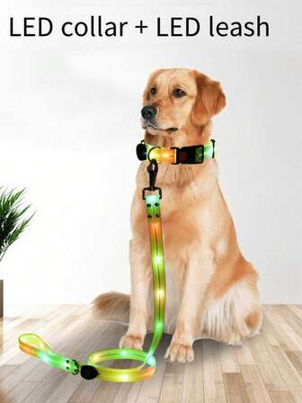 1pc LED Illuminating Colorful Pet Collar/Leash, USB Rechargeable Pet Leash, PVC Coated Webbing, Glow-In-The-Dark Dog Collar, AAA Grade High Brightness Light Source, Eye-Catching Yet Non-Dazzling, Stable Light Source, Clearly Visible, Prevent Car Accidents/Prevent Getting Lost/Prevent Scaring