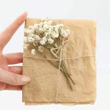 HOSY 50 Pcs Pure White Artificial Mini Baby's Breath Flowers, Delicate Faux Gypsophila For DIY Craft Projects, Perfect For Wedding, Home, Office, Party And Garden Decor, Boho Style Tabletop & Wreath Decorations, Featherless & No Electricity Needed, Ideal For Christmas, Thanksgiving, Halloween And All Holiday Home Decor & Christmas Gifts - 綠色和白色 - 查看 3