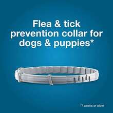 Flea And Tick Collar For Large Dogs - Specifically Designed For Dogs Over 18 Pounds, Providing 8 Months Of Dual Protection Through Prevention And Treatment - 白色 - 查看 2