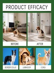 120毫升/60毫升宠物如厕训练喷雾，帮助训练猫狗养成良好的如厕习惯，有效引导排便，狗狗如厕训练喷雾，用于日常训练，引导狗狗到指定的如厕地点并纠正排便习惯。 - 彩色 - 查看 9