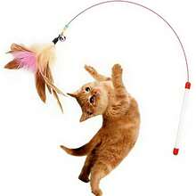 1pc Cat Teaser Toy, Feather Bell Cat Wand, Self-Entertainment, Outdoor Cat Toy, Pet Supplies, Suitable For Cats And Dogs - Multicolor - View 6