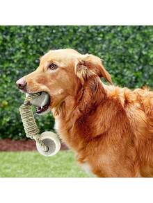 Durable Dog Chew Toys, Puppy Teething Toys, Interactive Pet Toys, Interactive Dumbbell Rope Combination Toys, Aggressive Dog Rope Toys, Chew Toys, Cotton Dog Toy Rope - Multicolor - View 4