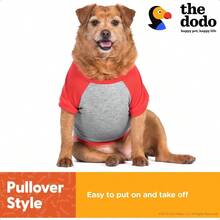 #1 - Playera para Perros Talla M - Grisyrojo - Ver 4