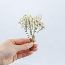 HOSY 50 Pcs Pure White Artificial Mini Baby's Breath Flowers, Delicate Faux Gypsophila For DIY Craft Projects, Perfect For Wedding, Home, Office, Party And Garden Decor, Boho Style Tabletop & Wreath Decorations, Featherless & No Electricity Needed, Ideal For Christmas, Thanksgiving, Halloween And All Holiday Home Decor & Christmas Gifts - 綠色和白色 - 查看 5