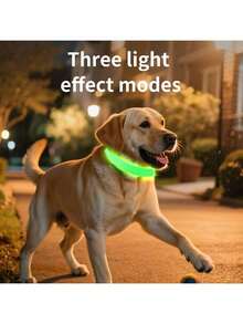 Vizpet LED 狗狗项圈,发光狗狗项圈,可调节 USB 充电超亮安全发光项圈,宠物发光项圈,夜间安全闪光狗狗项圈,可调节 - 彩色 - 查看 9