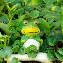 4 Pack Plant Watering Devices Frog Shape Terracotta Watering Spikes Vacation Self Watering Planter Insert Automatic Plant Waterer For Indoor Outdoor Plants Big Frog - Big Frog - View 6