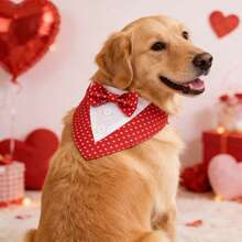 Valentine Dog Tuxedo Bandana, Red Heart Pet Tux With Bowtie, Adjustable Valentine's Day Costume For Extra Small Medium Large Dogs Cats - Multicolor - View 3