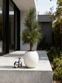 1/2pcs Simple Elegant White Spherical Weatherproof Plastic Planter - For Indoor/Outdoor Use, Suitable For Artificial Plants, Succulents, Ferns, Ideal For Home Decor, Office Placement, Suitable For Snake Plant, Pothos, Ferns - Multicolor - View 6