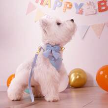 1 Set Velvet Bow Dog Collar & Leash Harness Set - Baby Blue - View 3