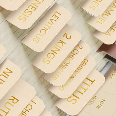 75 miếng đánh dấu trang Kinh Thánh unisex, màu hồng, dùng để đánh dấu sách Kinh Thánh, học Kinh Thánh, và làm đồ dùng học Kinh Thánh. Món quà hoàn hảo!