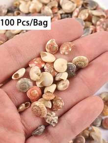 100个天然无孔迷你螺旋贝壳，天然航海沙滩装饰品，适用于DIY工艺品和家居装饰