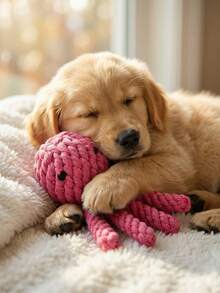 3pcs Durable Chew Toys For Puppies, Suitable For Teething, Interactive Braided Rope Toys For Small To Medium Dogs, Pet Supplies - Multicolor - View 11