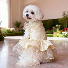 新款春季宠物服装 高端婚礼礼服 派对服装 适合小型犬和猫 - 香檳色 - 查看 5