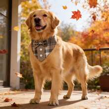 Brown Dog Tuxedo Style Scarf Plaid Pet Bow Tie Collar Adjustable Coffee Plaid Scarf, Suitable For Small, Medium And Large Dogs - Brown - View 10