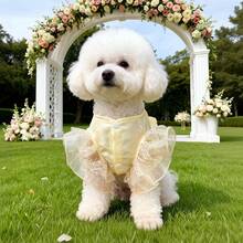 新款春季宠物服装 高端婚礼礼服 派对服装 适合小型犬和猫 - 香檳色 - 查看 6