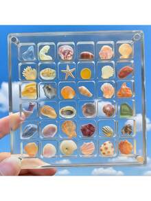 1 pieza Caja de almacenamiento de acrílico transparente de 36 ranuras, estuche de exhibición de especímenes de piedras de playa en miniatura, caja de colección de insectos, organizador de mujeres, esencial de viaje, almacenamiento para dormitorio universitario, caja de almacenamiento de conchas, caja de almacenamiento de arte, caja de exhibición de escritorio, caja de almacenamiento de joyas, organizador de almacenamiento de joyas - Multicolor - Ver 1