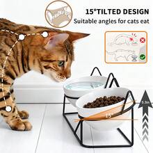 室内猫用陶瓷增高食碗，15°倾斜金属支架防呕吐保护脊椎，减少猫咪胡须疲劳，防滑且可机洗 - 400-800ml - 查看 2