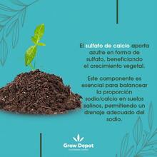 Yeso Agrícola  (Sulfato de Calcio) 5 Kg Calidad Premium - 1 - Ver 8