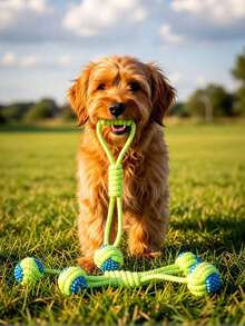 7件套狗狗磨牙玩具，编织绳训练玩耍玩具，适合户外狗狗拔河互动玩具，磨牙玩具，适合爱啃咬的狗狗，帮助清洁牙齿，适合中大型犬。 - 彩色 - 查看 3