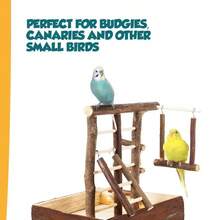 Wooden Bird Playground - Standard - View 5