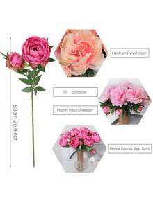 1个仿真牡丹花盆，高53厘米（20.9英寸），有玫瑰红和杏色可选，适合作为母亲节礼物、春夏装饰、礼品、仿真植物、仿真花、仿真绿植、桌面装饰、花园装饰、室内装饰、宿舍/办公室装饰、情人节装饰、派对/活动/节日/生日装饰、玄关装饰、酒店/餐厅/客厅/卧室装饰、婚礼装饰、厨房/花园装饰。 - 彩色 - 查看 3