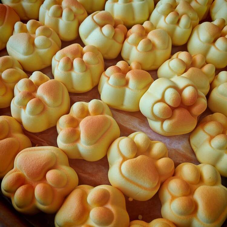 2026 可爱猫爪面包慢回弹软捏捏减压玩具，模拟烘焙，送给朋友、生日、情人节、圣诞节的完美礼物 - 彩色 - 查看 4