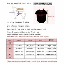新款春季宠物服装 高端婚礼礼服 派对服装 适合小型犬和猫 - 香檳色 - 查看 2