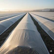 TendenciaTela Antiheladas Para Cultivos 15 X 2.1 Mts Ancho AgrotelaCalidad premium - 1 - Ver 7