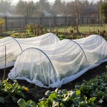 TendenciaTela Antiheladas Para Cultivos 15 X 2.1 Mts Ancho AgrotelaCalidad premium - 1 - Ver 6