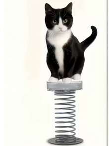 Cute Cat Desk Decor, Suitable For Desktop Spring Decoration, Ideal Gift For Parents And Friends - one-size - View 9