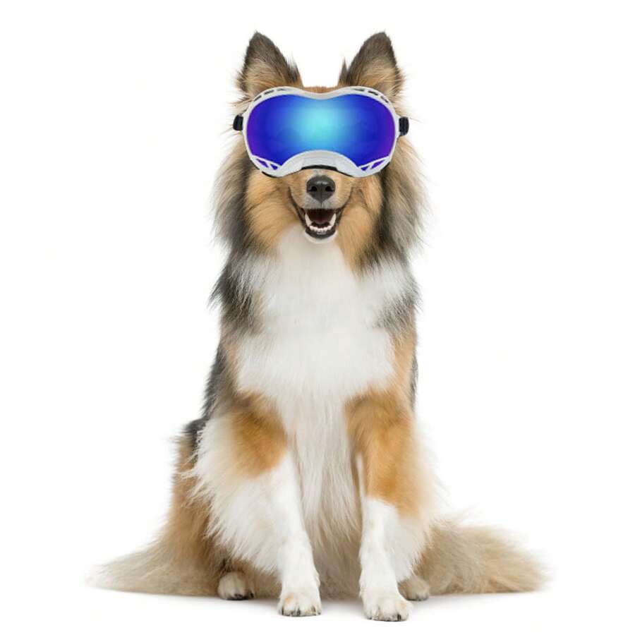 Sunglasses With UV Protection For Large Dogs (2026): Windproof, Adjustable Strap, Soft Polycarbonate Material And Blue Lenses.