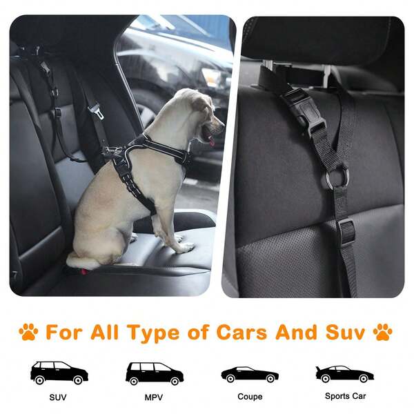 3件套可调节狗狗车载安全牵引绳，宠物牵引绳，车载安全绳，二合一狗狗牵引绳，适合户外使用，可调节尼龙材质狗狗约束车载安全带，经久耐用，360度旋转连接器，易于使用