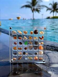 1pc Acrylic Nail Art Rhinestone Storage Box, High Transparency Magnetic Lid, Mini Seashell Storage Box, Seashell Storage Display - Transparent - View 4