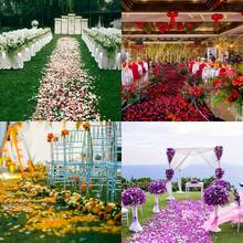 1000pcs/Pack Artificial Rose Petals, Plastic Material, Suitable For Wedding, Engagement, Proposal And Valentine's Day, Not Real Flowers - Multicolor - View 8